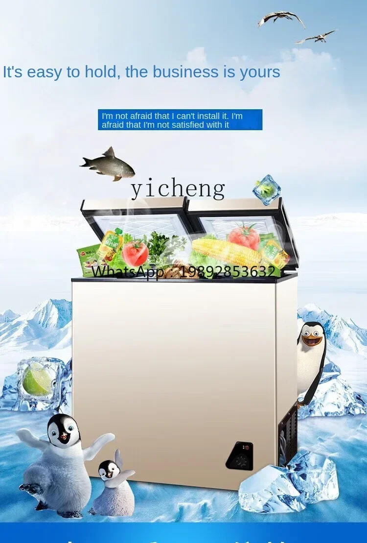 Food Storage Frozen - Lemari Es Mini Hemat Daya, Anti