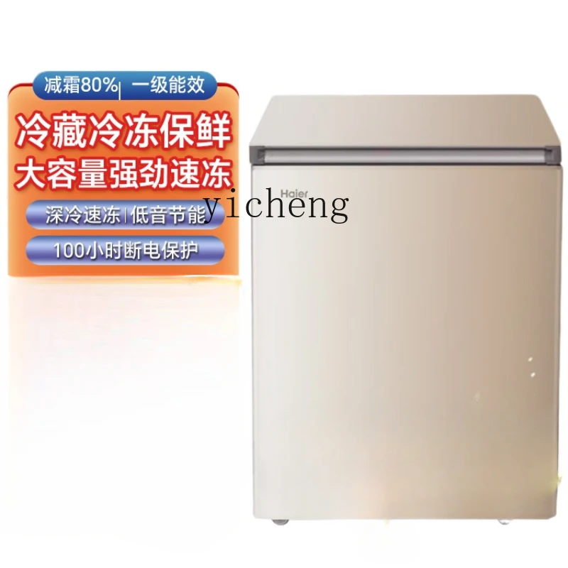 Food Storage Frozen - Lemari Es Mini Hemat Energi Bebas