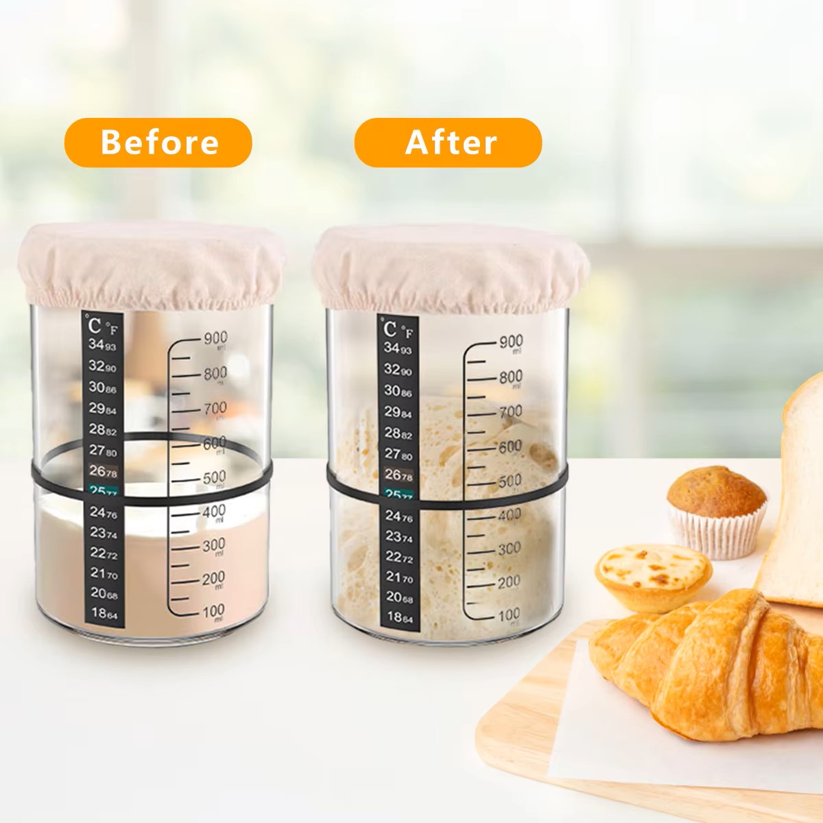 Set Stoples Starter Sourdough  - Food Storage Glass Box ulasan dan harga