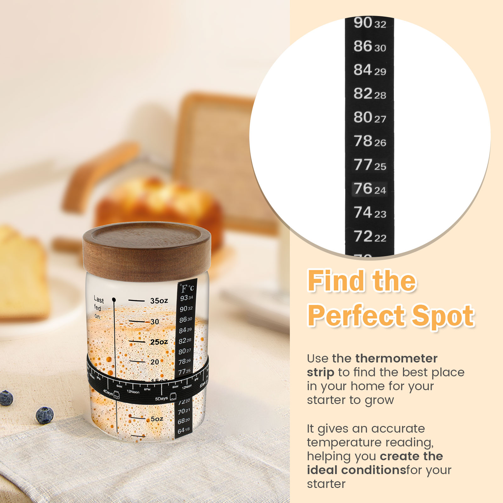 Sourdough toples pemula 1000ml - Food Storage Kits ulasan dan harga