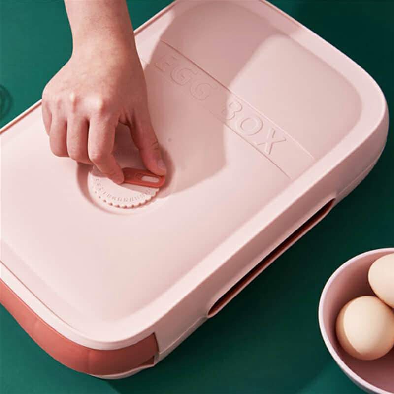 AEE6-Wadah Penyimpanan Telur T - Food Storage Types ulasan dan harga